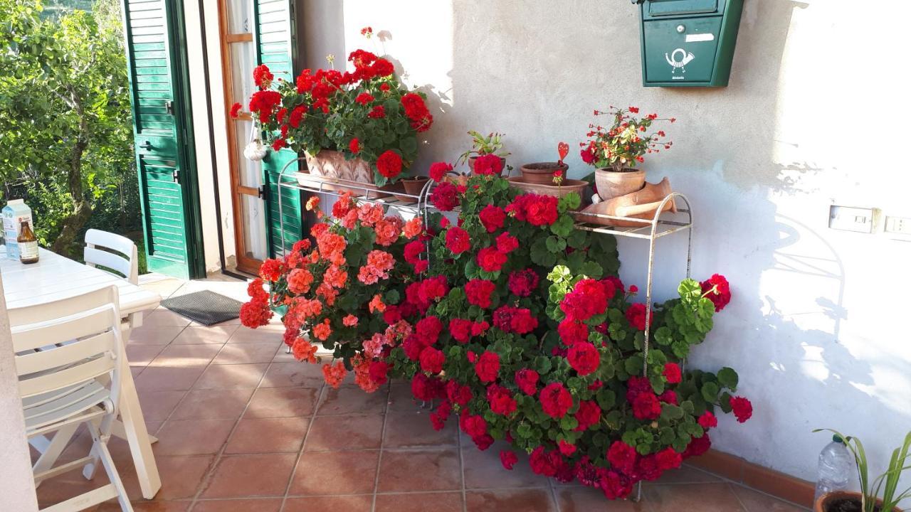 Apartamento Casa Di Giulia Santa Luce Exterior foto